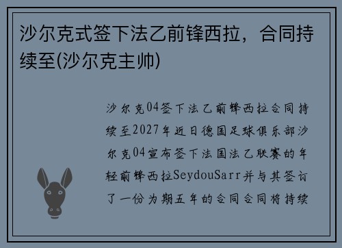 沙尔克式签下法乙前锋西拉，合同持续至(沙尔克主帅)