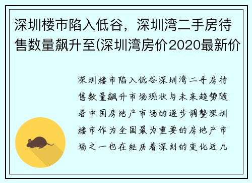 深圳楼市陷入低谷，深圳湾二手房待售数量飙升至(深圳湾房价2020最新价格)